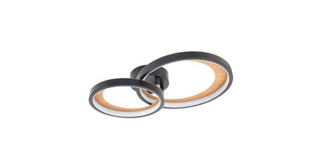 Потолочный светильник Escada Callisto 10265/2LED