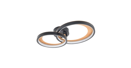 Потолочный светильник Escada Callisto 10265/2LED