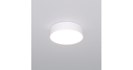 Потолочный светильник Eurosvet Entire 90318/1 белый a063076