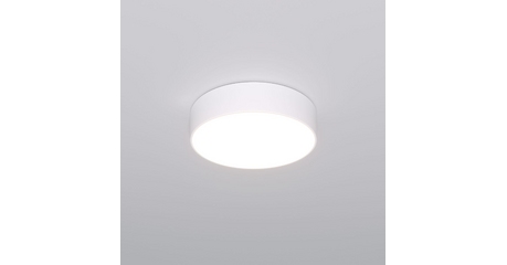 Потолочный светильник Eurosvet Entire 90318/1 белый a063076