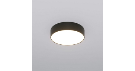 Потолочный светильник Eurosvet Entire 90318/1 черный a063079