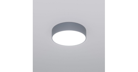 Потолочный светильник Eurosvet Entire 90318/1 серый a062827