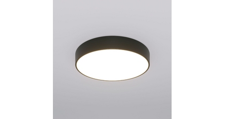 Потолочный светильник Eurosvet Entire 90319/1 черный a063080