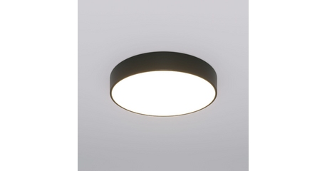 Потолочный светильник Eurosvet Entire 90319/1 черный a063080