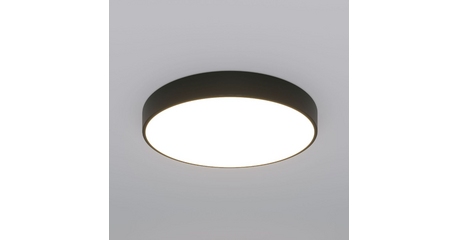 Потолочный светильник Eurosvet Entire 90320/1 черный a063081