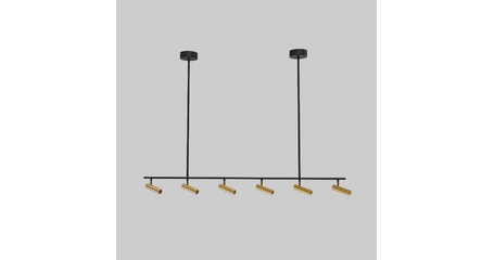 Потолочный светильник Eurosvet Epiphania 20252/6 LED черный/латунь a068799