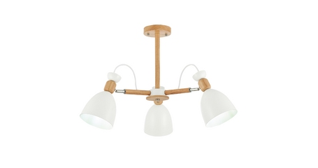 Потолочный светильник EVOLUCE BALCAMO SLE103802-03