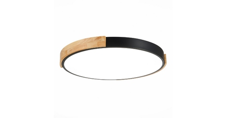 Потолочный светильник Evoluce Delia SLE201342-01