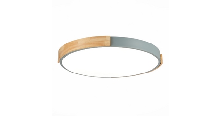 Потолочный светильник Evoluce Delia SLE201372-01