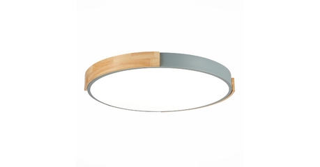 Потолочный светильник Evoluce Delia SLE201372-01