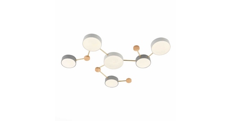 Потолочный светильник Evoluce Dossena SLE600102-06