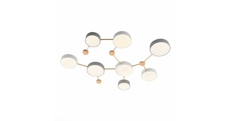 Потолочный светильник Evoluce Dossena SLE600102-08