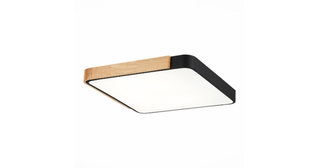 Потолочный светильник Evoluce Festa SLE201242-01