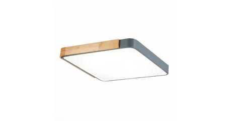 Потолочный светильник Evoluce Festa SLE201272-01