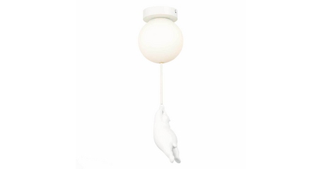 Потолочный светильник Evoluce Modena SLE115402-01