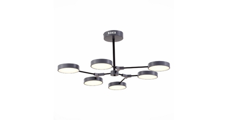 Потолочный светильник Evoluce Monta SLE6003-702-06