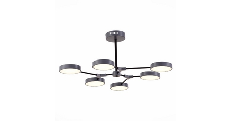 Потолочный светильник Evoluce Monta SLE6003-702-06