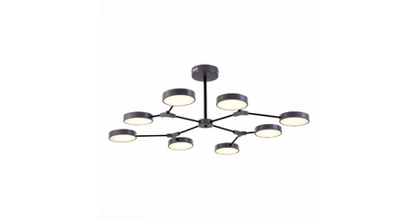 Потолочный светильник Evoluce Monta SLE6003-702-08