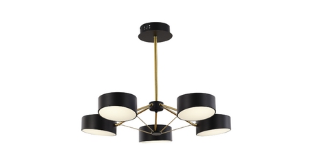 Потолочный светильник Evoluce Valle SLE6005-402-05