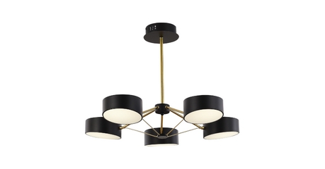 Потолочный светильник Evoluce Valle SLE6005-402-05