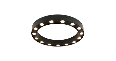 Потолочный светильник Favourite Attica 3007-15U