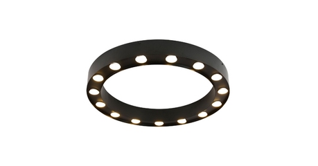 Потолочный светильник Favourite Attica 3007-15U