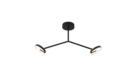 Потолочный светильник Favourite Paritet 4401-2C