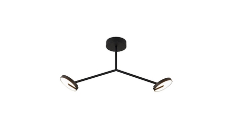 Потолочный светильник Favourite Paritet 4401-2C