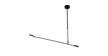 Потолочный светильник Favourite Vorago 4572-1C