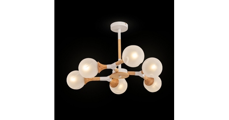 Потолочный светильник Freya Amy FR5105CL-06W