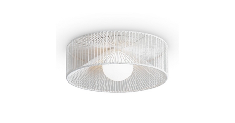 Потолочный светильник Freya Cottage FR5405CL-01W