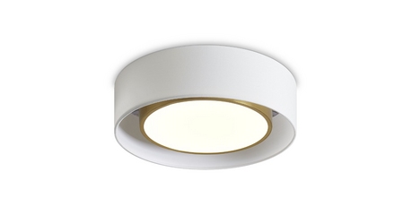 Потолочный светильник Freya Cozy FR6170CL-L52BS