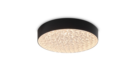 Потолочный светильник Freya Crispia FR6218CL-L90B