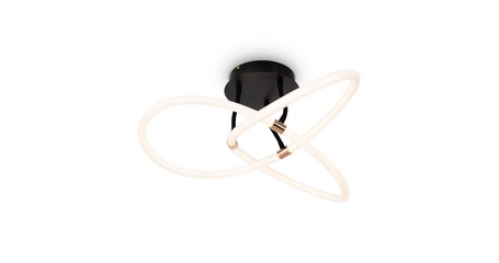 Потолочный светильник Freya Fancy FR6059CL-L35B