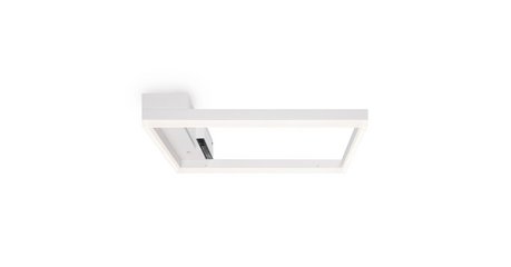 Потолочный светильник Freya Frame FR6084CL-L82W