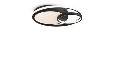 Потолочный светильник Freya Nation Market FR10028CL-L80B