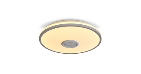 Потолочный светильник Freya Rond FR6226CL-L36W