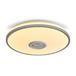 Потолочный светильник Freya Rond FR6226CL-L36W