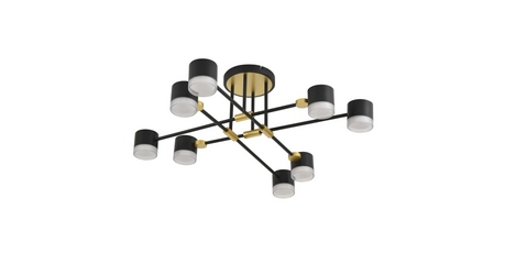 Потолочный светильник Lumion Comfi Leniana 8307/8C