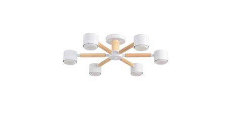 Потолочный светильник Lumion Comfi Vudi 8306/6C