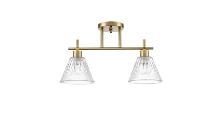 Потолочный светильник Lumion Vivian 8188/2C