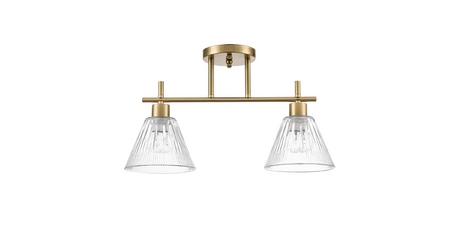 Потолочный светильник Lumion Vivian 8188/2C