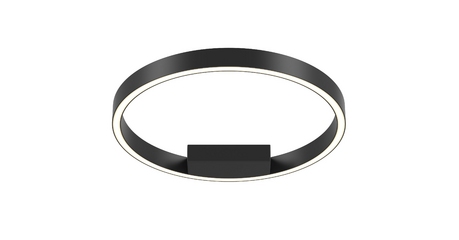 Потолочный светильник Maytoni Rim MOD058CL-L25BK