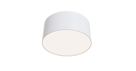 Потолочный светильник Maytoni Technical Ceiling & Wall C032CL-12W4K-RD-W