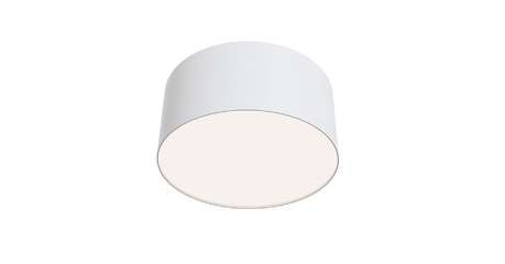 Потолочный светильник Maytoni Technical Ceiling & Wall C032CL-12W4K-RD-W