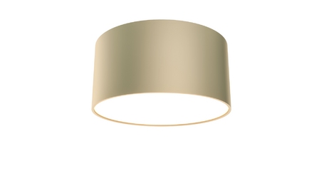 Потолочный светильник Maytoni Technical Ceiling&Wall Zon C032CL-12W3K-RD-MG