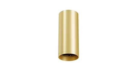Потолочный светильник Maytoni Technical Focus C010CL-01MG-N