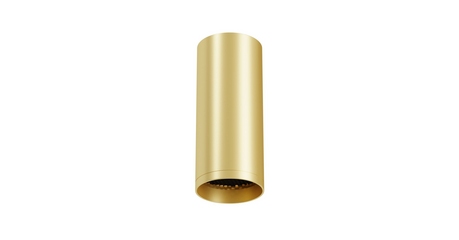 Потолочный светильник Maytoni Technical Focus C010CL-01MG-N