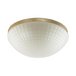 Потолочный светильник Odeon Light Malaga 4936/3C