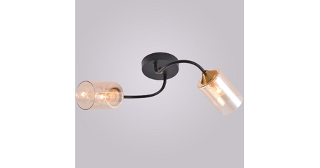 Потолочный светильник Reluce 01608-0.3-02 BK+BRASS